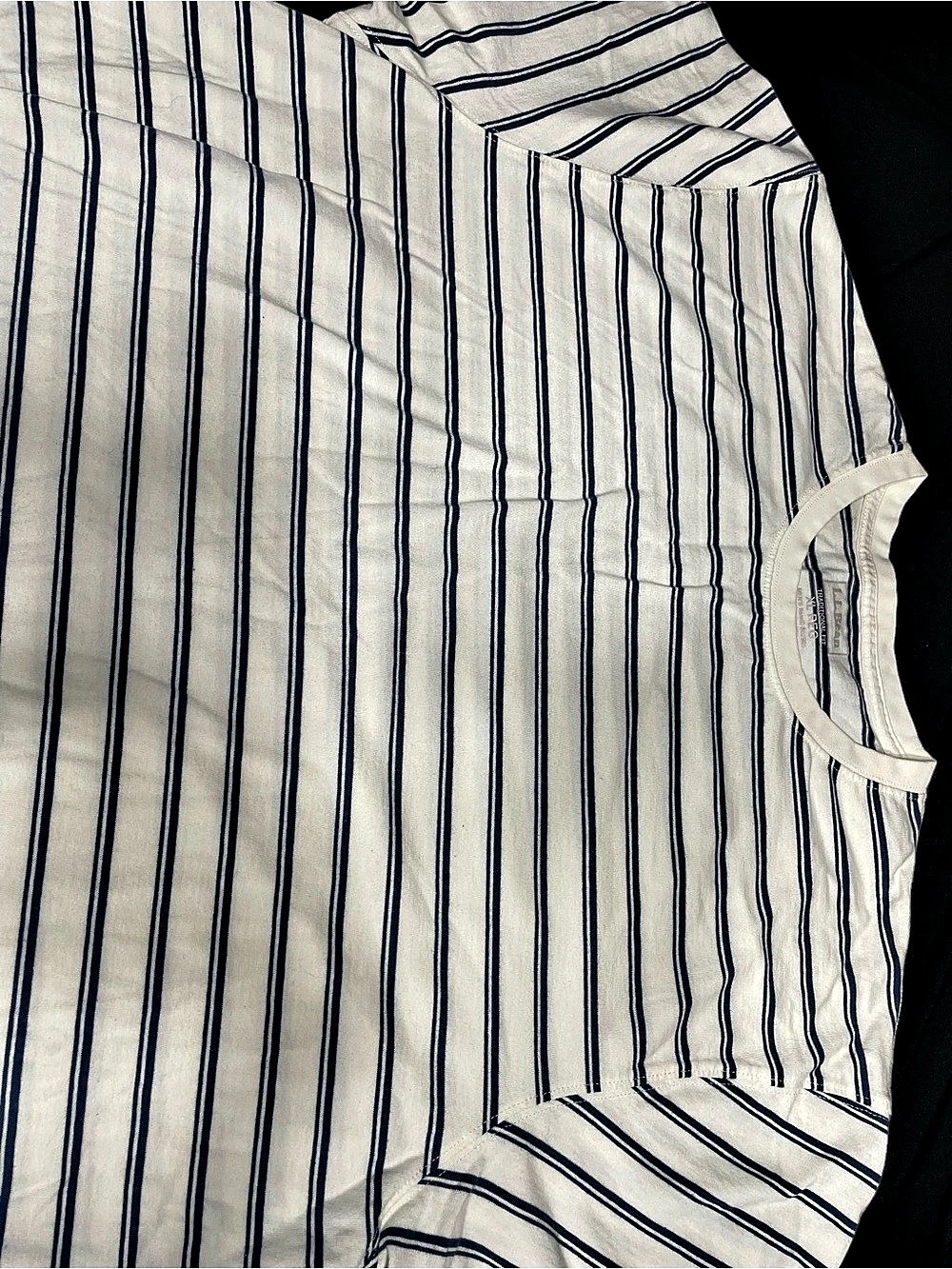 L.L. Bean Striped Short Sleeve Tee in White & Blue